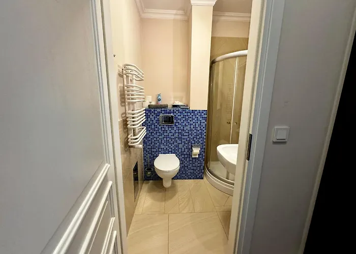 Dk Dyplomat 公寓 奥尔什丁